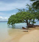 Tonga