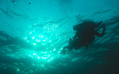 Scuba Diving – Gerätetauchen