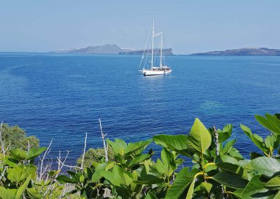 Sailing Yacht Charter Rhea external